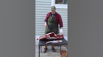 Butchering a deer, Step 1: Quartering #shorts #venison