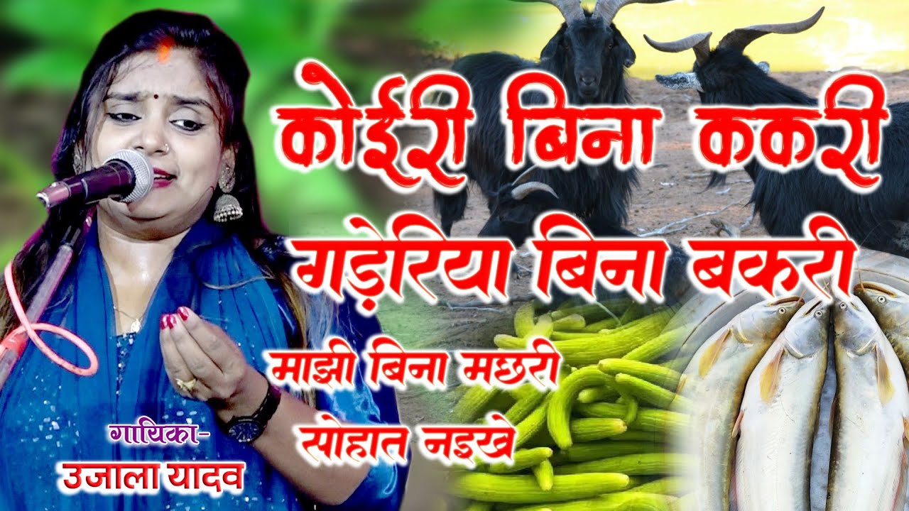 आ गया #उजाला_यादव का नया कॉमेडी वीडियो कोईरी बिना ककरी गड़ेरिया बिना बकरी koiri Bina kakri 