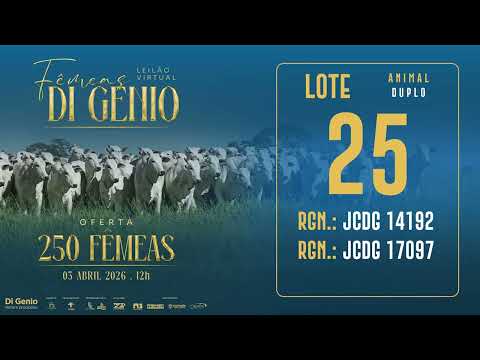 LOTE 25 JCDG 14192 17097