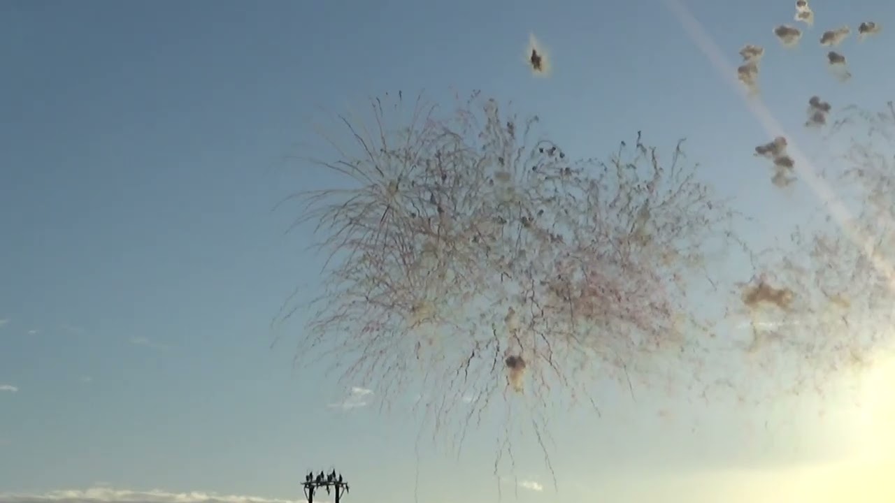 NOVOLI (Le) Sant' antonio abate 2026 - PIROTECNICA PEPE LUCA