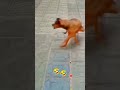 DOG #trends #shorts #funny #viralshorts