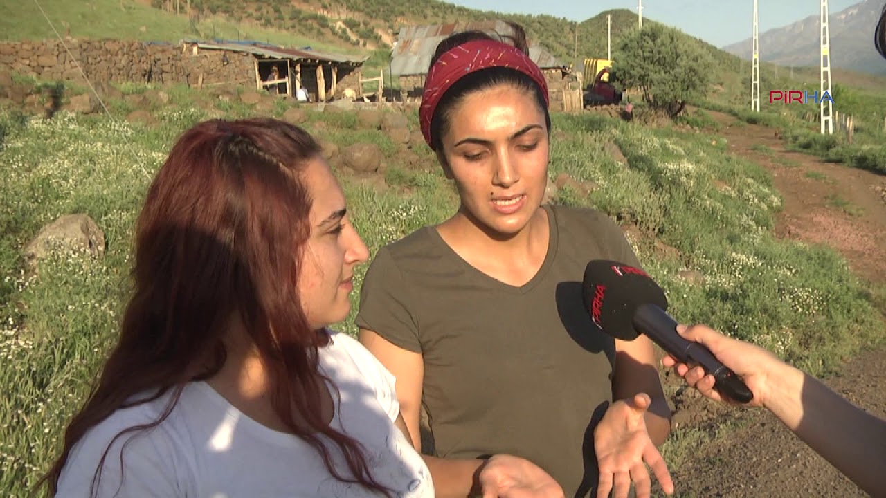 Bingöl Gözeler Köyü'nde en büyük sorun: İşsizlik