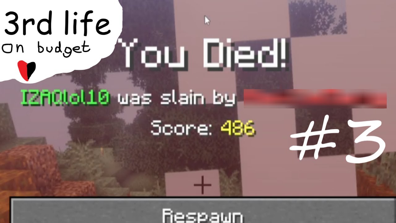 Oh no... :: 3rd Life on budget #3