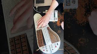 Omnichord + Chroma Console (Jam)