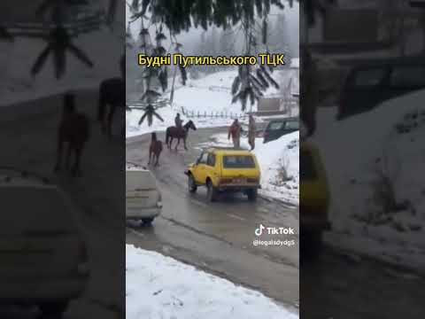 Нападение с топорами на работников ТЦК в Черновицкой области