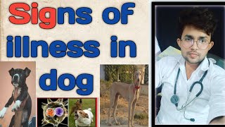 Symptom Of Illness In Dog Complete Care Of Your Dog By.sahil Malik B.sc.m & V.t.
