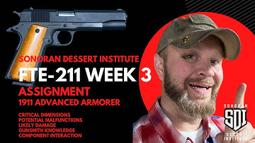 SDI - FTE 211 - Week 3 Assignment (Critical Dimensions)