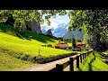 Relaxing Music That Heals Stress, Anxiety and Depressive Conditions, Heals, Gentle Music