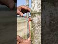 Genius Rope Trick You Should Know ✅ #camping #knowledge #learning #experiment