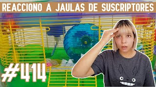 REACCIONO a JAULAS para HAMSTER de SUSCRIPTORES by Pequeños Roedores 949 views 2 months ago 26 minutes