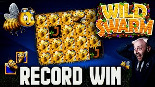 €20 Wild Swarm SWARM MODE - RECORD WIN screenshot 5