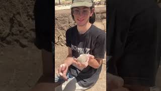 Some Finds Of The Week 2 Loom Weights And A Juglet