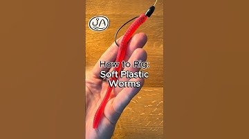 How to rig soft plastic worms for bass fishing #fishing #fishingtips #bassfishing #largemouthbass