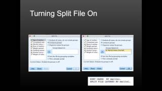 Module 3 | S17 | Splitting the File in SPSS