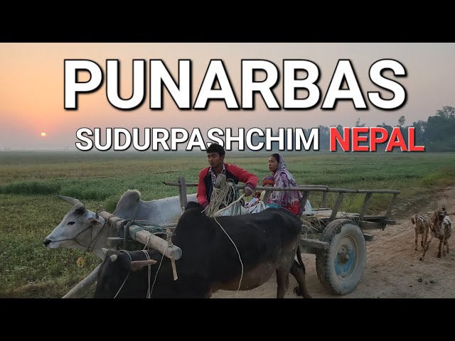 Punarbas Sudurpashchim Kanchanpur Nepal class=