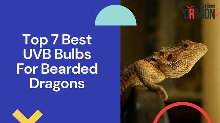 Top 7 Best UVB Bulbs For Bearded Dragons | Grimdragons.com