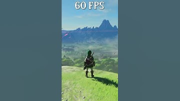 Zelda Breath of the Wild 60fps VS 30fps (Cemu)