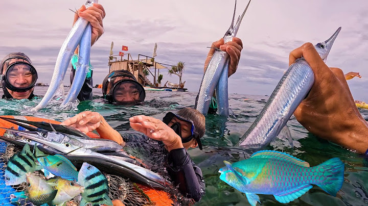 Together with the Neighbors, Bring Out the Net to Catch a Very Fresh Catch of Fish