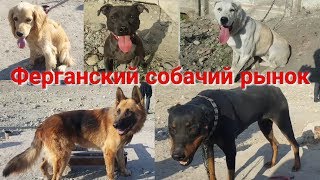 видео: ФАРҒОНА ИТ БОЗОРИ |  Ферганский собачий рынок картинка: ФАРҒОНА ИТ БОЗОРИ |  Ферганский собачий рынок