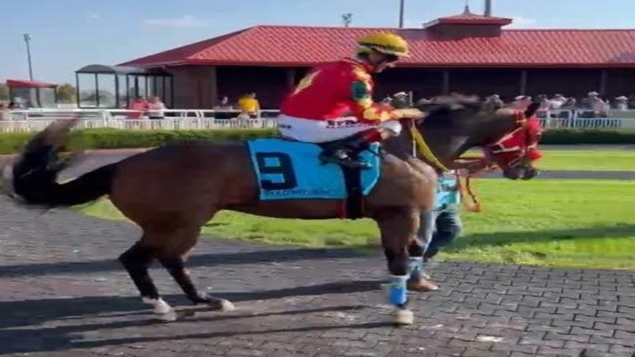 Assista a EC WAGON - AARON CHAVEZ Y SUS TAPADOS no YouTube