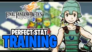 Perfect Stats Training Final Fantasy Tactics Advance Perfect Stat Guide