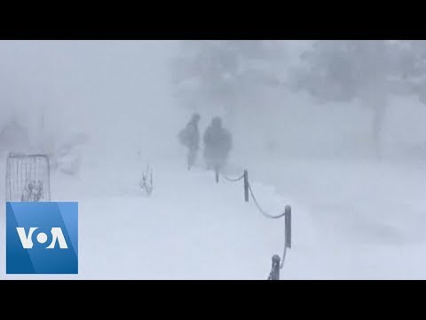 Grand Canyon Covered in Snow as Two Storms Pass Over US