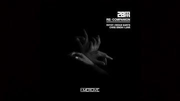 28mm - Companion (Redux Saints Remix)