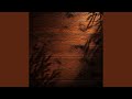 Cedar Textures