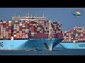 2 ultra large container ships of maersk line met at the port of rotterdam  shipspotting 2021