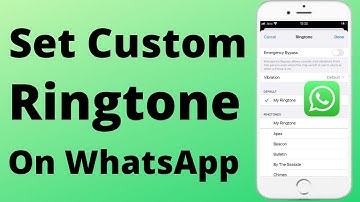 How to Set Custom Ringtone on WhatsApp iPhone | 2025