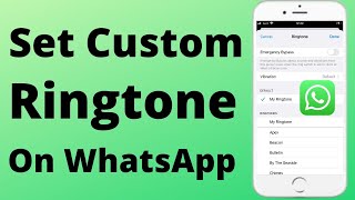 How to Set Custom Ringtone on WhatsApp iPhone | 2022 screenshot 4