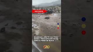 Granizada dejó afectaciones en cultivos de la zona rural de Guaca | Oro Noticias