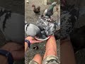 Patuka🦆😂