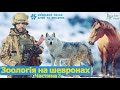 Зоологія на шевронах  Частина 3