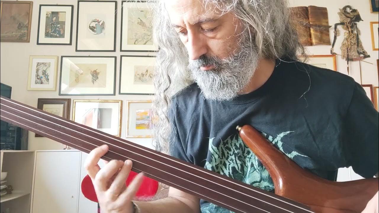 Heavenly Fretless bass Sound with Freeze Electro Harmonix pedal YouTube