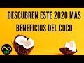 DESCUBREN MÁS BENEFICIOS DEL ACEITE DE COCO ESTÉ 2020