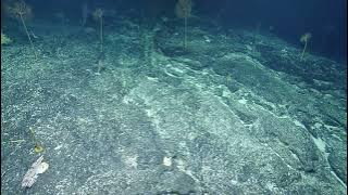 NA149_H1957_(8of11)_20230530_181148Z