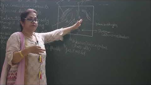 Bio-IX-2-06 Connective tissue general,  Pradeep Kshetrapal channel