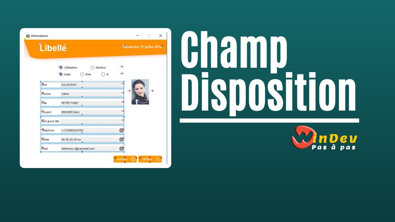 Le champ Disposition (Layout) - YouTube