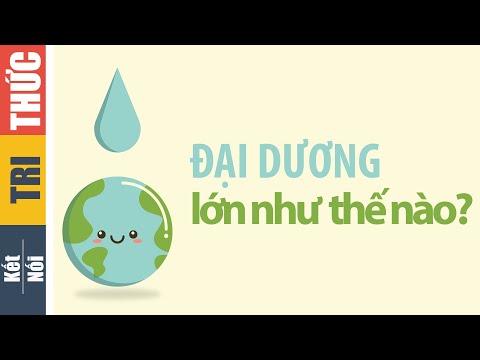 Video: Có Bao Nhiêu đại Dương Trên Thế Giới