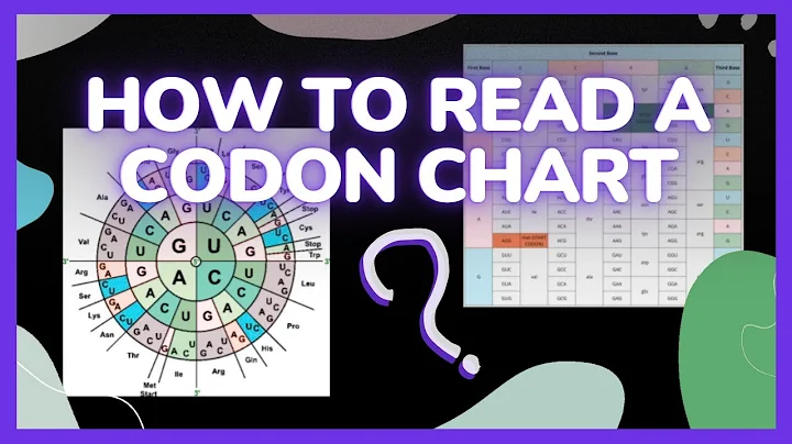 How To Use a Codon Chart: Protein Synthesis Problems