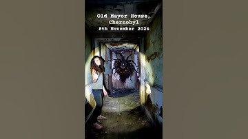 Researcher shows creepy giant spider on wall in Chernobyl! #spider #creepy #chernobyl