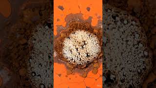 Instant Rust Dissolver: Satisfying Chemical Reaction! 🧪🔥