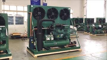 Bitzer two-stage compressor condensing unit