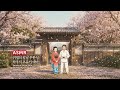 하쿠지&코유키 Playlist ❄️ 강하지 않아도 괜찮아, 그저 당신이면 충분했어요 | 귀멸의 칼날 무한성 ASMR 아카자