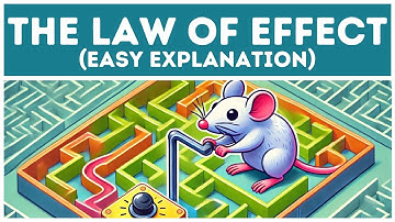 The Law Of Effect (Explained in 3 Minutes)