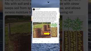 Grow More Potatoes in Less Space With This Smart Trick