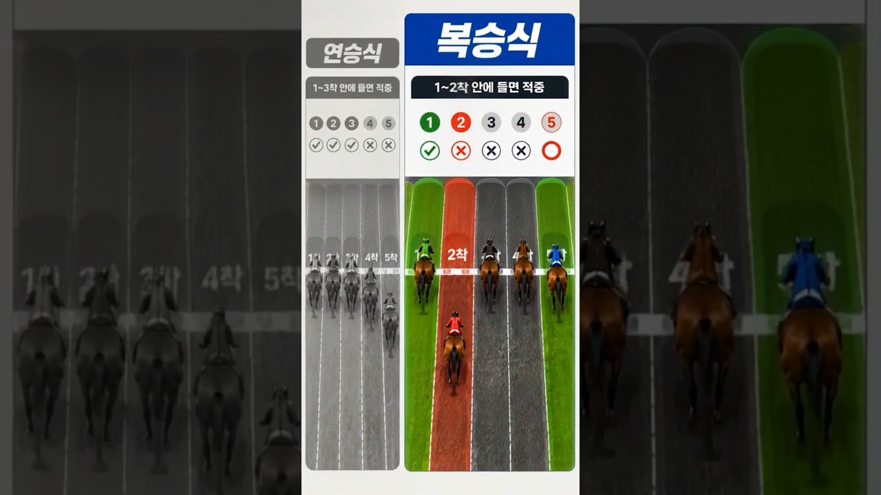 복승식 vs 연승식, 확률적으로 무엇이 더 유리할까? #경마
