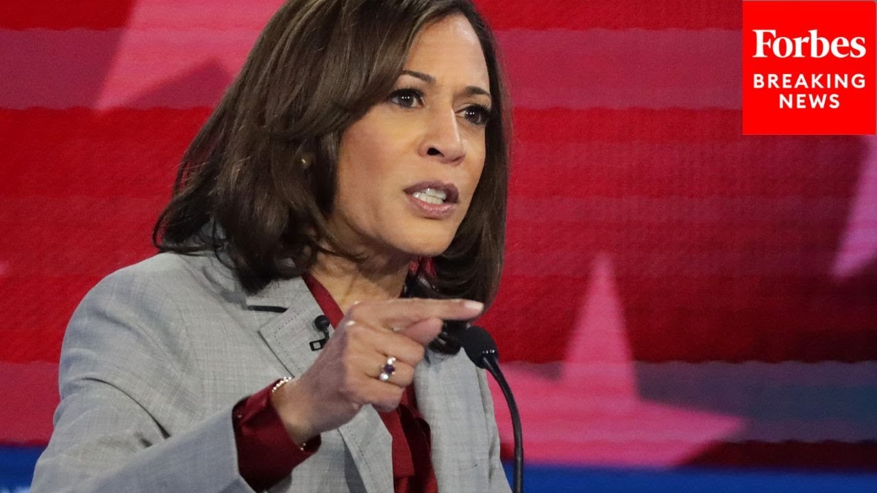 GOP Lawmaker Slams Harris During Hearing: ‘Disappointed That The VP Has Not Addressed This Group’