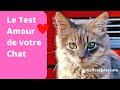 Test amour de chat  comment votre chat vous aimetil 